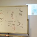 화훼장식기능사(중급) 이미지