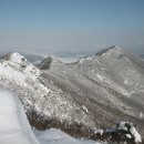 영산산림 이미지
