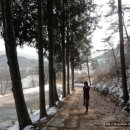 마암초등학교 이미지