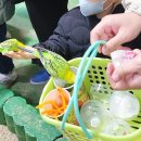 (주)이월드 피터팬오락실 | 아기랑 가볼만한 곳 동물 먹이주기 체험 대구 이월드 동물원 주주팜
