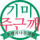 오렌지나무의원 이미지