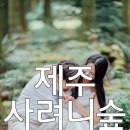 재동목장 이미지