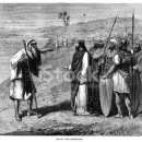 바르실래 이미지