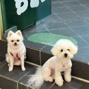 모두다요기