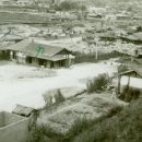 사창4리 Daum카페