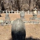 의령 수도사 석탑 및 승탑군 이미지