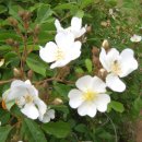 가좌체육공원 이미지