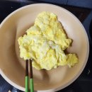 맥안경나무 네이버블로그
