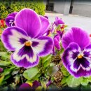 한길여인숙 이미지