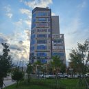 에스 행정사 사무소 이미지