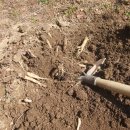 두꺼비농장 이미지