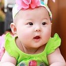 청보리농장 네이버블로그