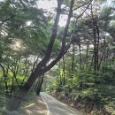 앞뜰농장 | 내포 근교 드라이브 추천 서산 개심사 방문