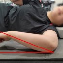 WellMove 근골격운동센터 이미지