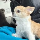 씨유봉곡점 | 새해 복 많이 받으시소❤️‍🔥 구미CC클라이밍, 봉곡 만선, 진사천훠궈, 임짱 김치볶음밥, 감자 사진 백개❤️