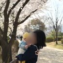 블롱드닉스 네이버블로그