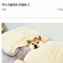 눈빛극장 네이버블로그