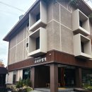 소나무향기 이미지