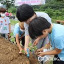 백봉초등학교 이미지