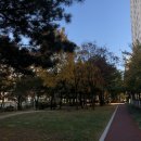 스마일 옷수선 이미지