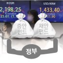 채안과 서울신문