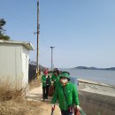 교동면-2 이미지