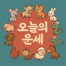 ㈜한들소형정비 | [오늘의 띠별 운세] 2025년 12월 31일 수요일