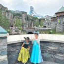 OFF LAMP | 도쿄 디즈니씨 오픈런 후기 | 평일 타임라인 실전 팁