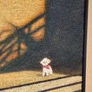 갤러리카페봄
