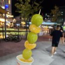 신안 웰리스 이미지