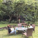 쁘띠뽀레 이미지