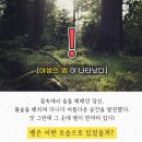 질투심 테스트 이미지