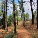 연동목장 이미지