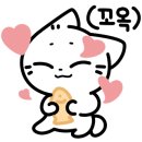 무정초등학교 앞 이미지