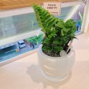 구구네미용실 이미지