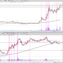 디아이인터내셔널 이미지