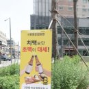 로봇초밥마켓배곧