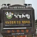 농도원목장 이미지