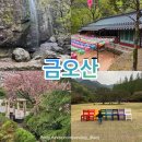구미 금오산 케이블카 잔디광장 아기랑 대혜폭포 다녀온 후기