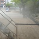 구봉초교병설유치원 이미지