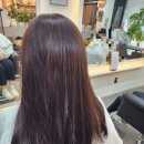 오렌지 카 크리닉 이미지