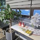 (주)다움기술 이미지