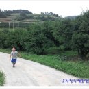 청용농장 이미지
