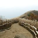 바람소리 이미지