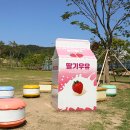 농촌테마공원3 이미지