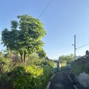 씨유 경주동산병원점 | [경주 촌캉스 숙소] 경주 느좋 독채 숙소 사랑방 내돈내산 후기