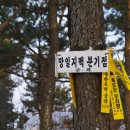 지용산인 이미지