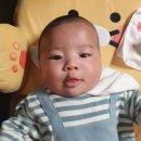 김쪼꼬미용실 이미지