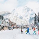 제스퍼(JASPER) 이미지