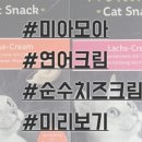 올캣코리아 이미지